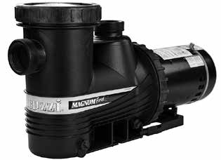 1.0 HP Magnum Force Pump, full service, 115/230V - Image 1